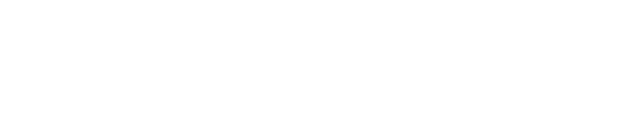 Twin House Biz