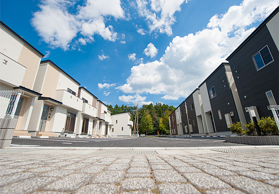 栃木県那須塩原市　ルピナス